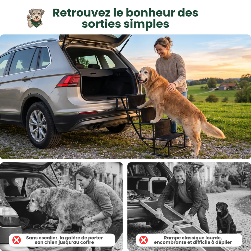 Escalier Pliable d'accès Voiture pour Chien