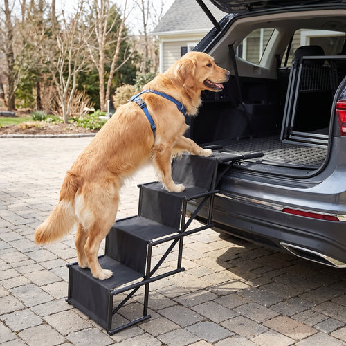 Escalier Ergonomique Voiture pour Chien - Pliable