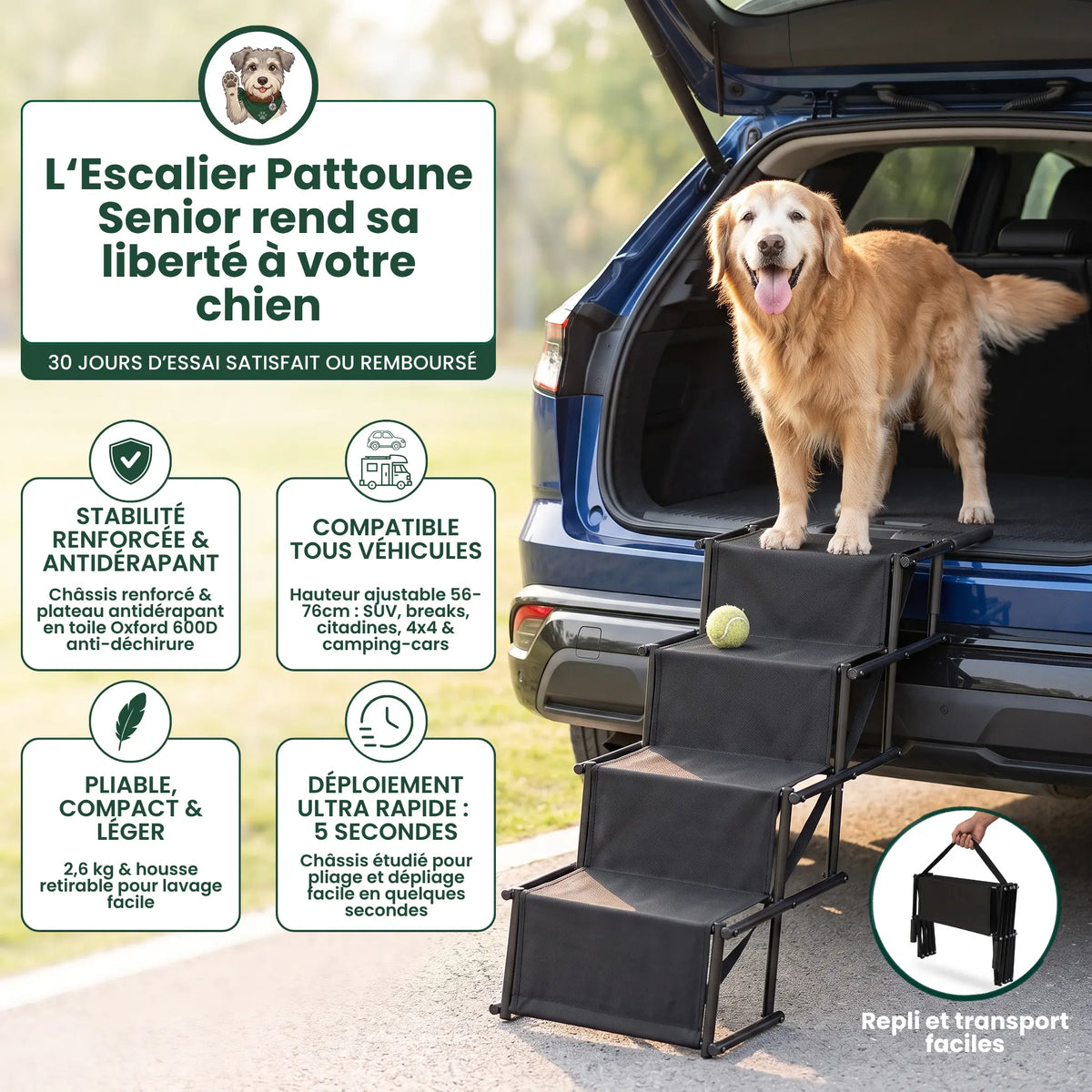 Escalier Pliable d'accès Voiture pour Chien