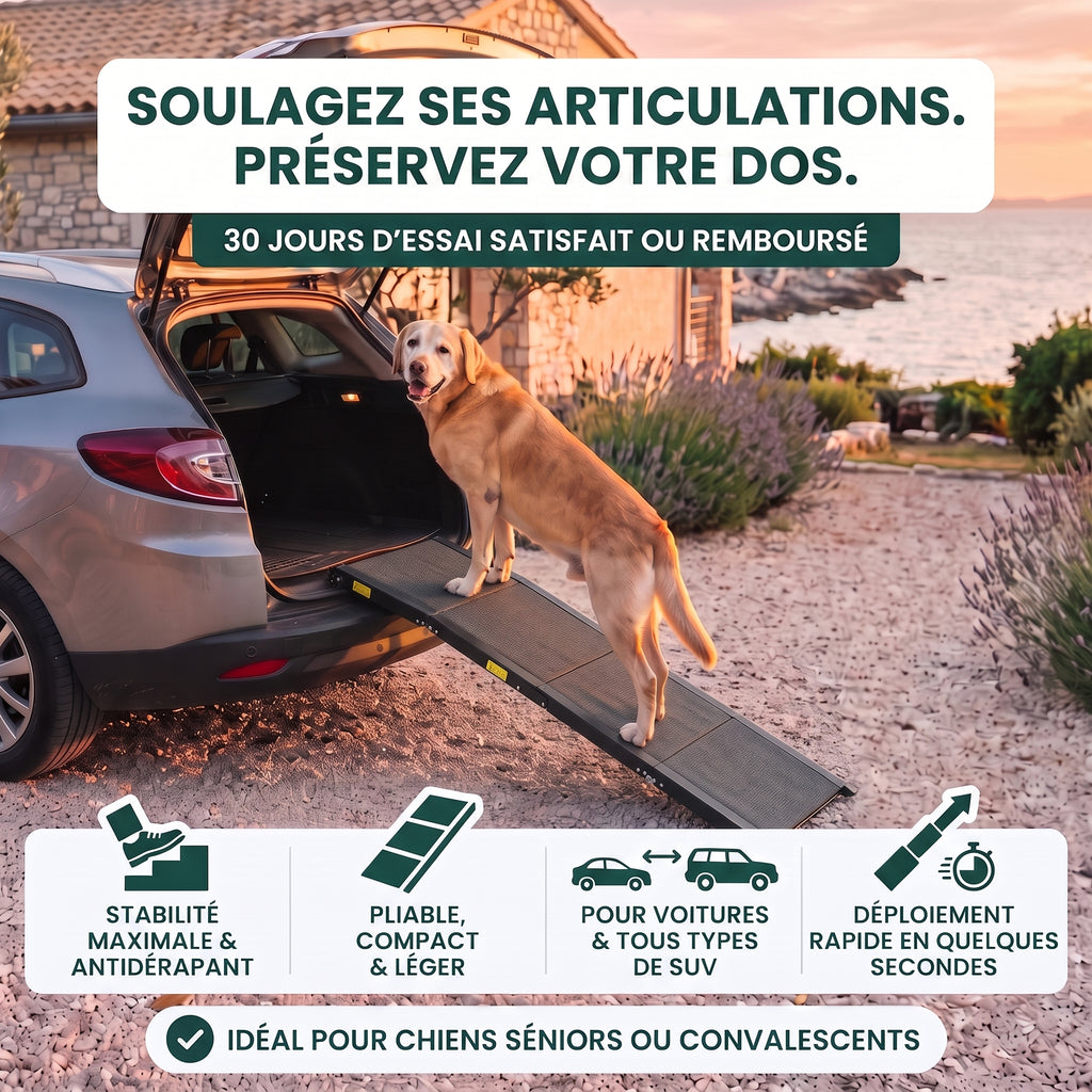 Rampe d'Accès Voiture Pliable pour Chien