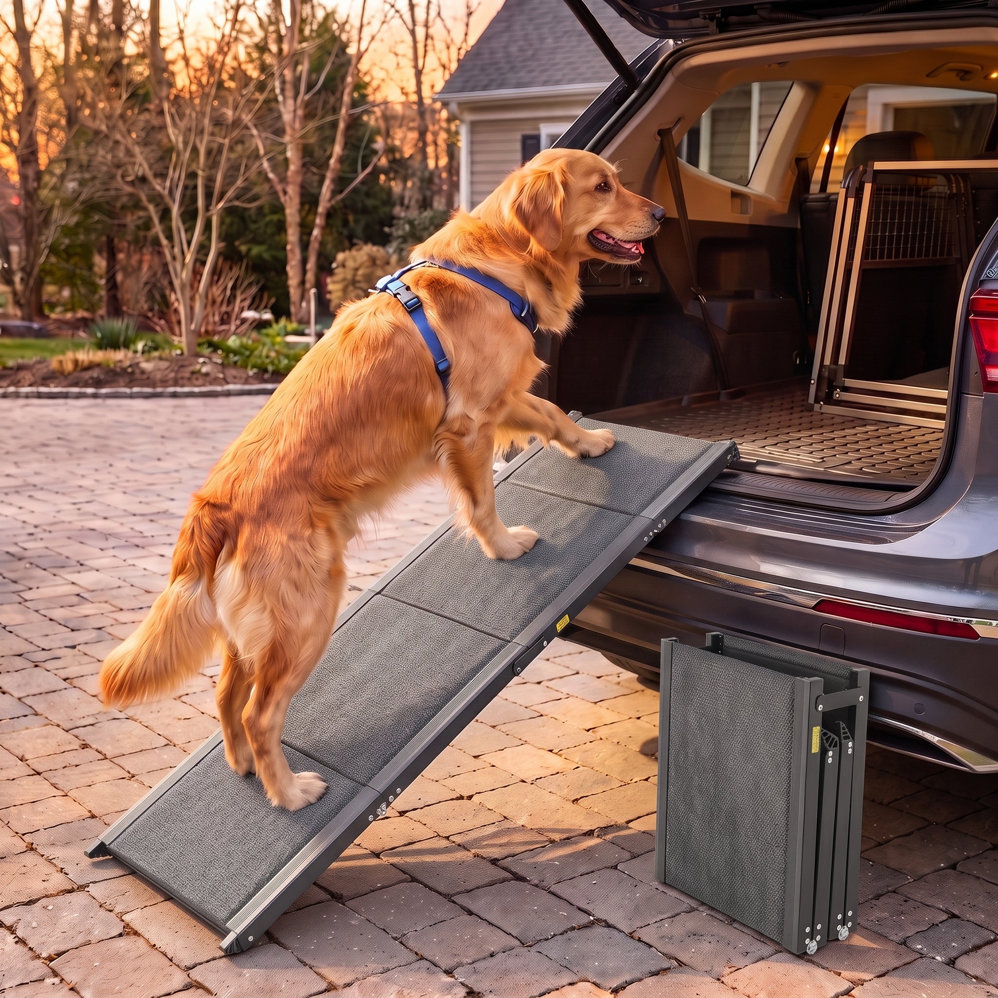Rampe d'Accès Voiture Pliable pour Chien