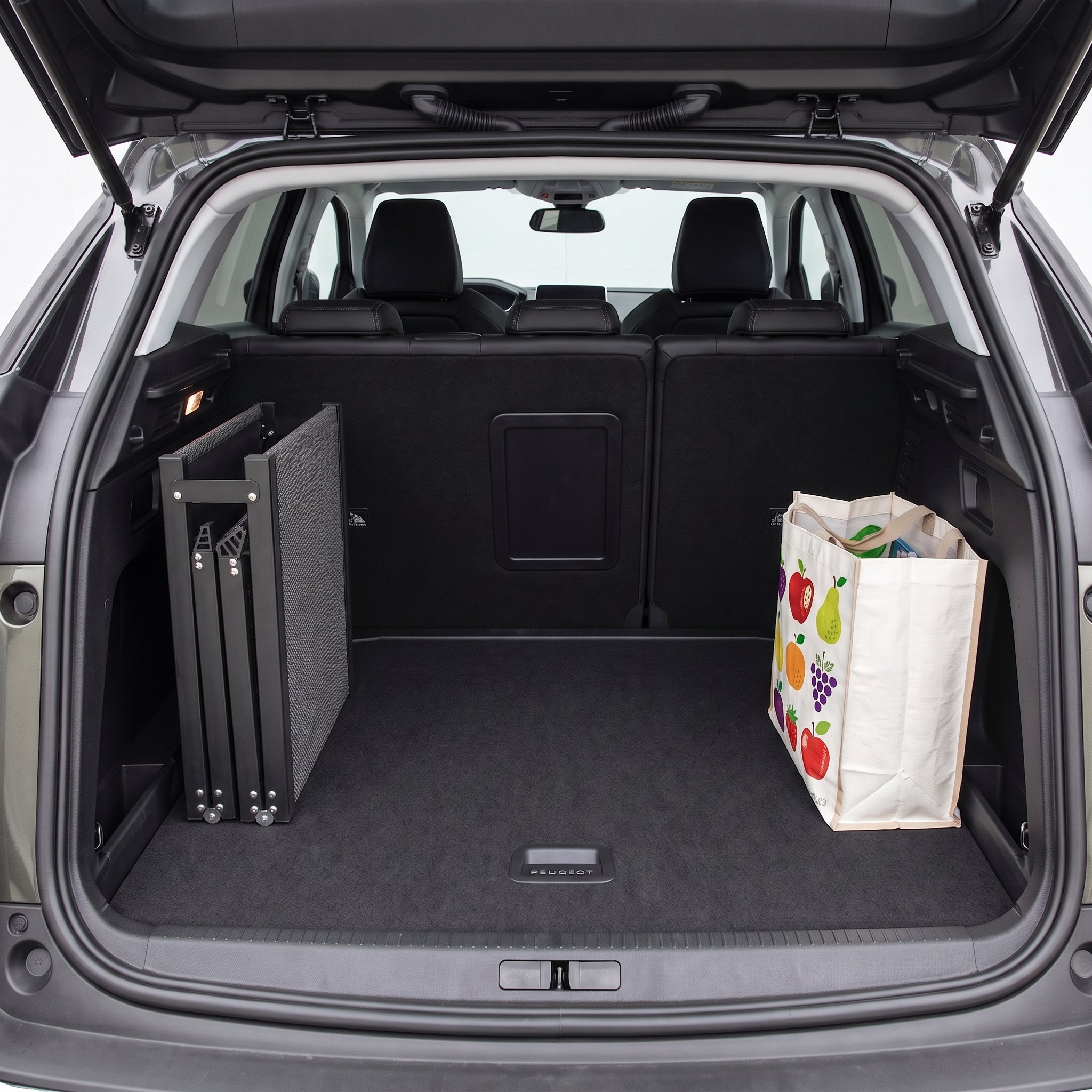 Rampe d'Accès Voiture Pliable pour Chien