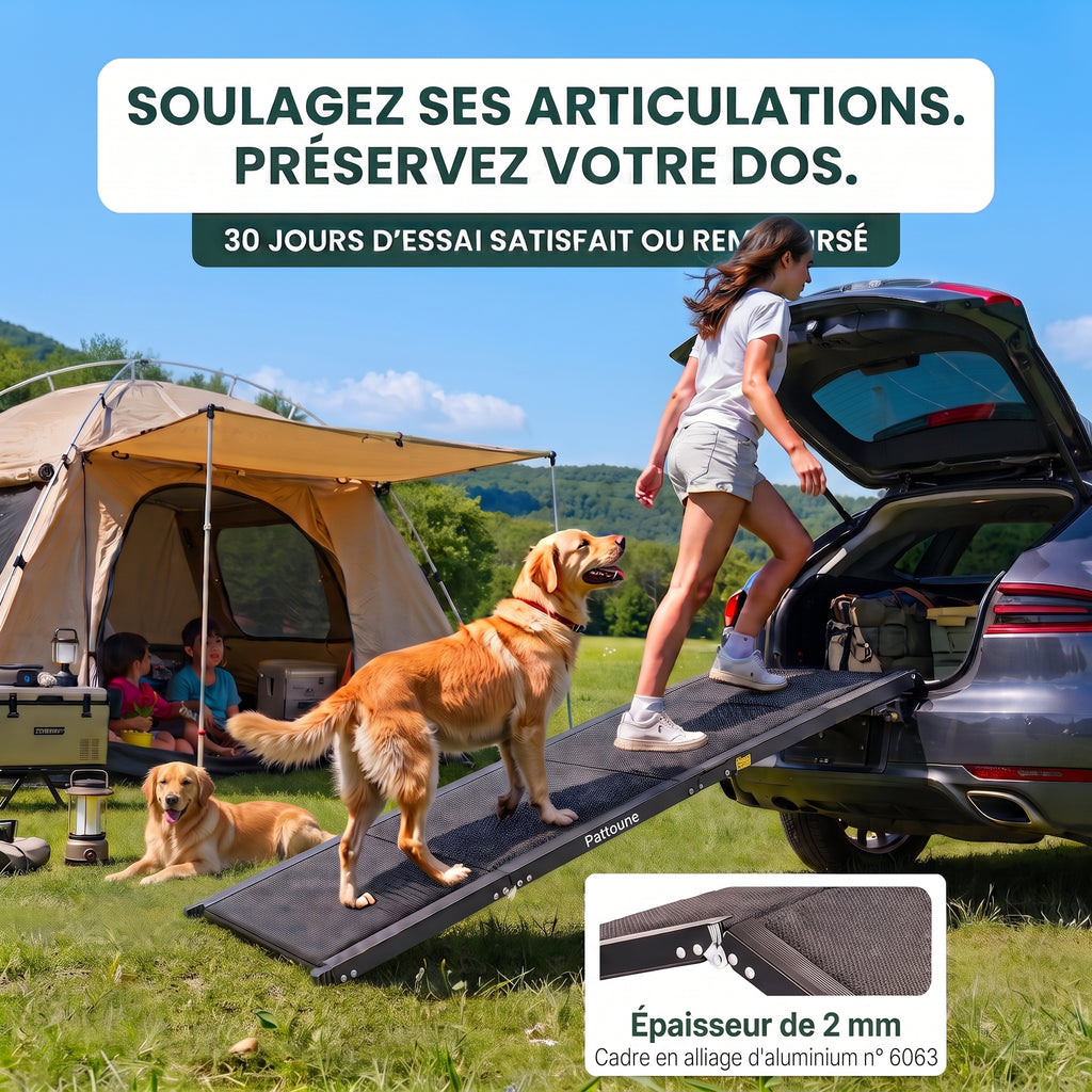 Rampe d'Accès Voiture Pliable pour Chien