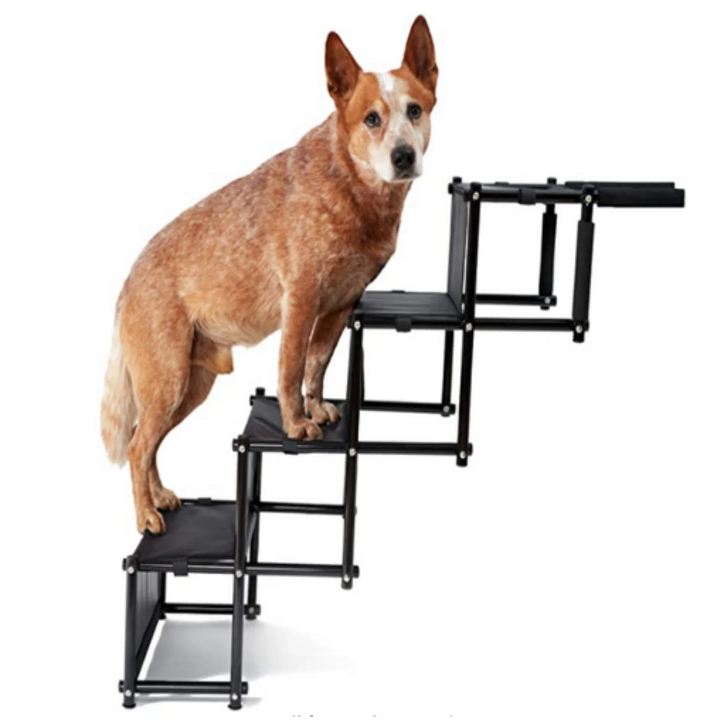 Escalier Orthopédique Pliable pour Chien - Pattoune Senior™