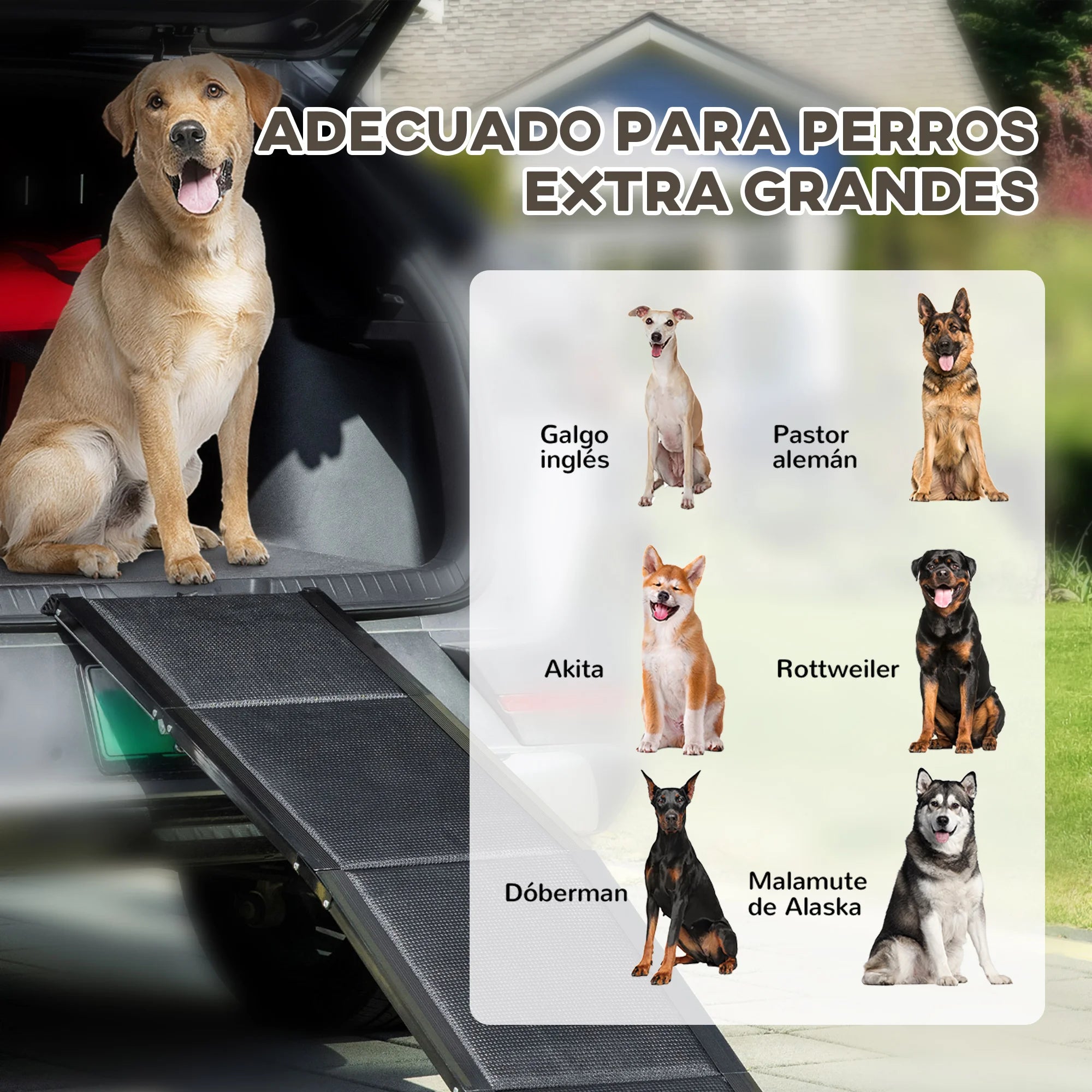 Rampe d'Accès Pliable en Aluminium pour Chien - Spécial Voiture