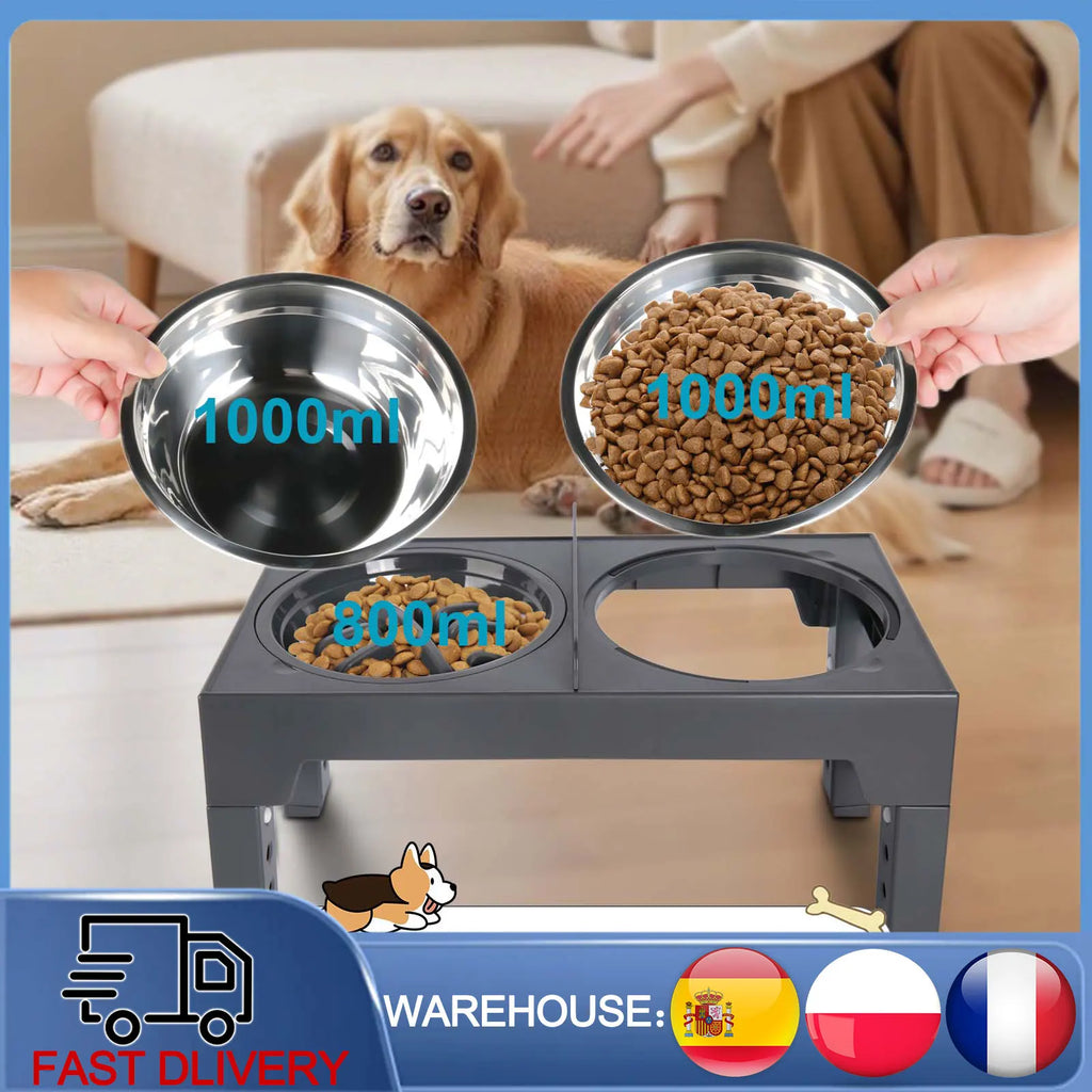 Gamelle Surélevée Réglable Orthopédique en Inox - Pattoune Senior™