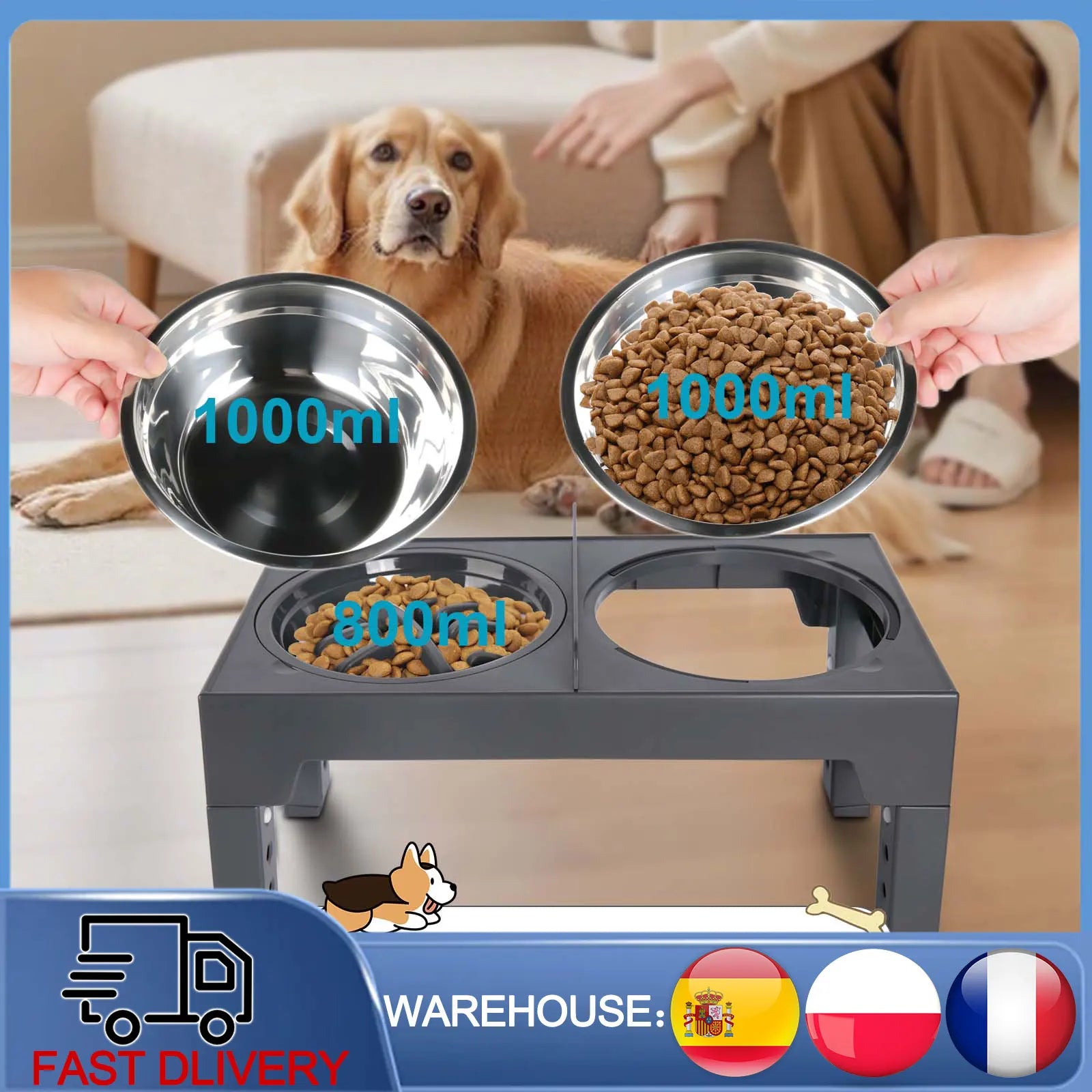 Gamelle Surélevée Réglable Orthopédique en Inox - Pattoune Senior™